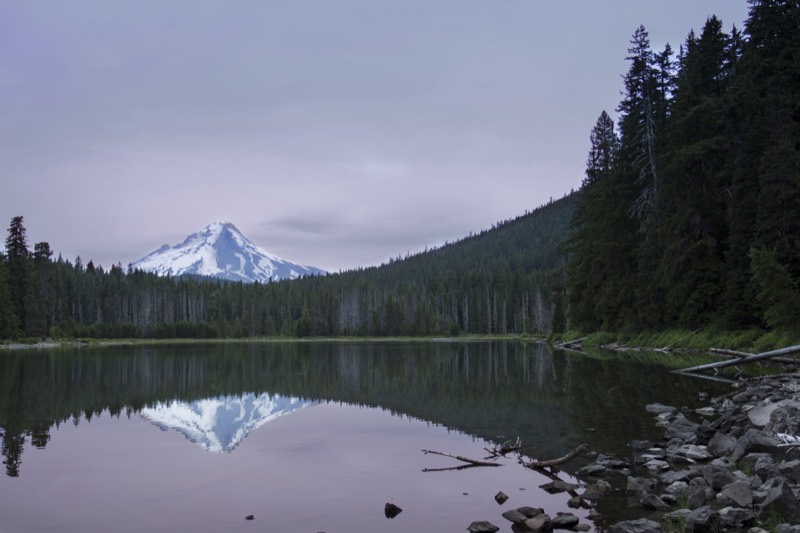 Source photo: a mountain lake landscape with trees and reflections